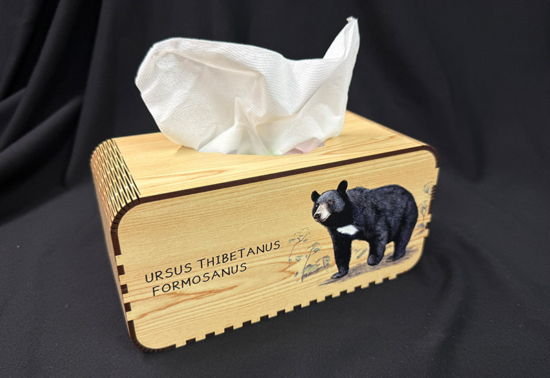 台灣黑熊面紙盒